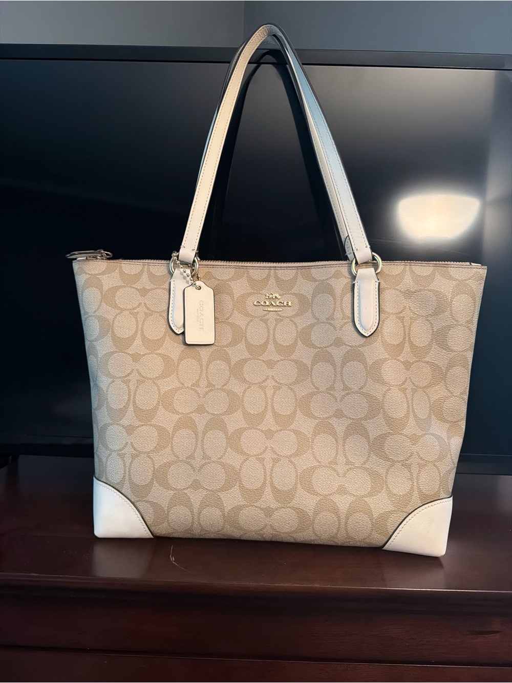 Coach City Zip Signature Canvas Tote